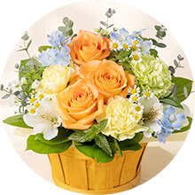 ��̓� �A�����W�����g