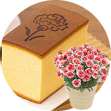 ��̓� ���ԂƃZ�b�g