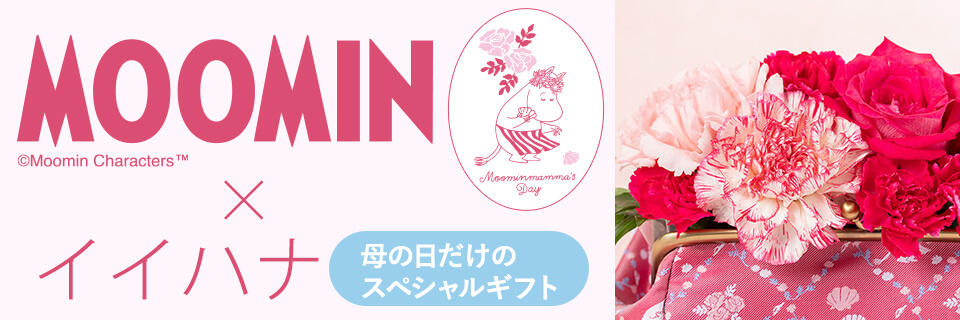 MOOMIN�~�C�C�n�i