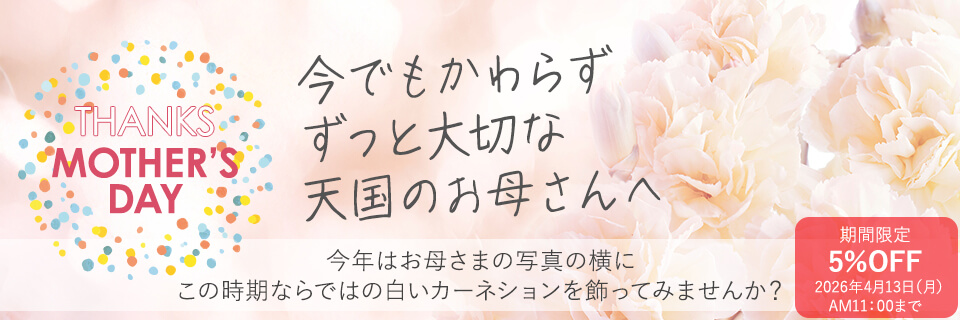 �V���̂��ꂳ��֓͂�������