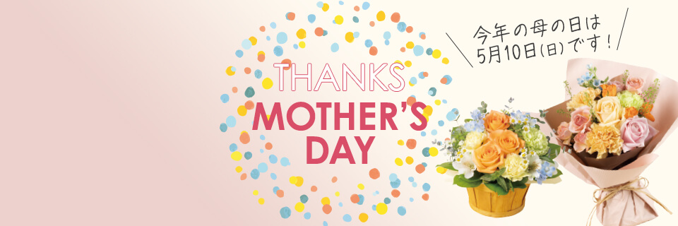 2026�N ��̓� �v���[���g�E�M�t�g���W���C���r�W���A��