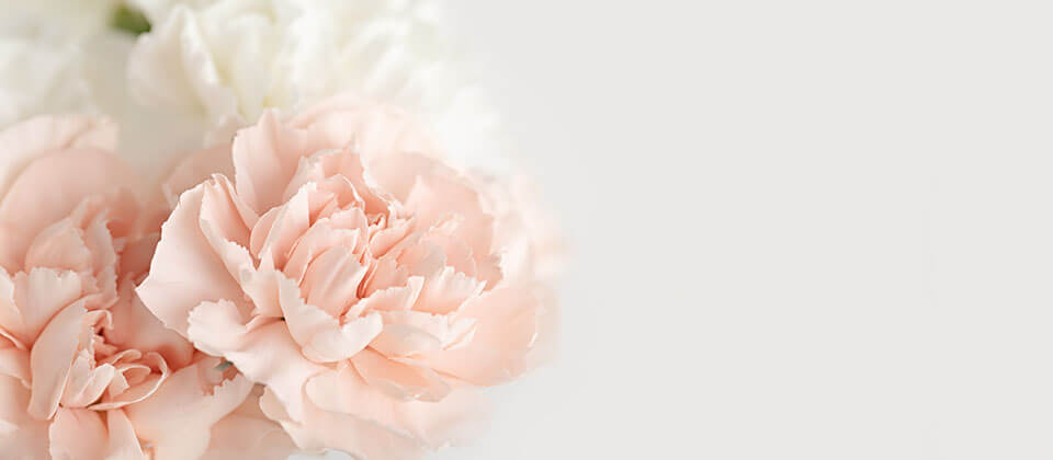 母の日花ギフト・プレゼント特集2026