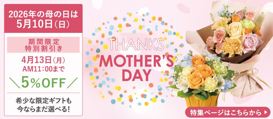 【期間限定特別割引5%OFF】2026年4月13日（月）AM:11:00まで