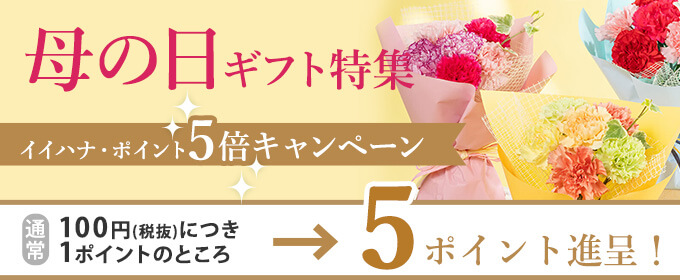 イイハナ・ポイント5倍キャンペーン