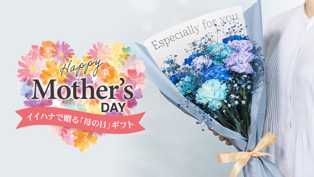 �������ԃM�t�g