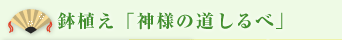 ���A���u�_�l�̓�����ׁv