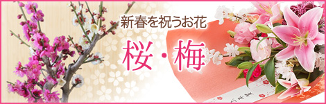 ���E�~