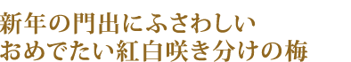 �V�N�̖�o�ɂӂ��킵�����߂ł����g���炫�����̔~