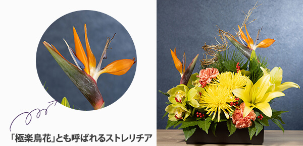 @AWguԂ̕ṽsbNAbv|Cg