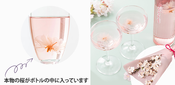 @ԑZbgu₽炷 k{X@KIRAKIRAṽsbNAbv|Cg