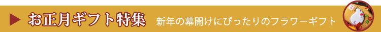 お正月ギフト特集