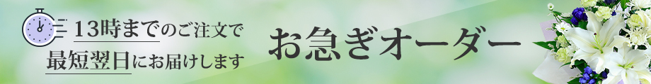 ~̉Ԃ}I[_[