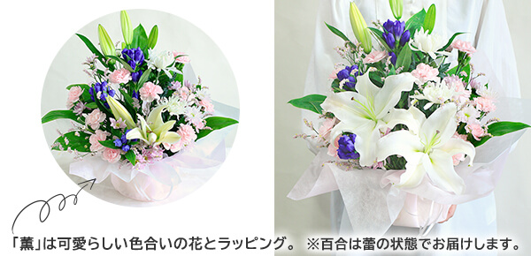 ԁ@AWguO`hEYā`ṽsbNAbv|Cg