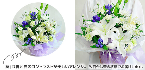 ԁ@AWgu`hEYā`ṽsbNAbv|Cg