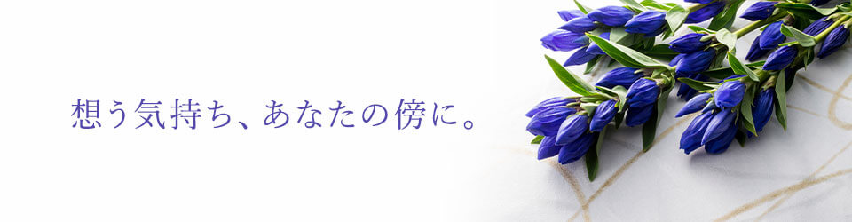zCAȂ̖TɁBC[W摜