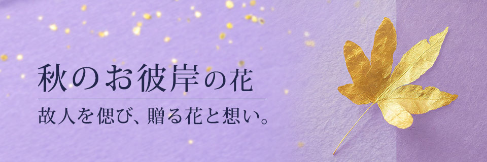 Ĥފ݃CrWA