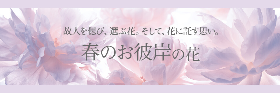 �t�̂��ފ݃��C���r�W���A��