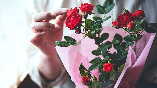 バラの花言葉　本数・色・部位別の意味と選び方・贈り方をご紹介のアイキャッチ画像