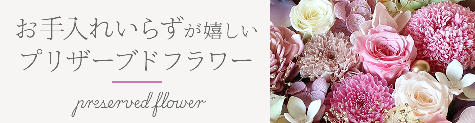 �v���U�[�u�h�t�����[���o���w�i�摜