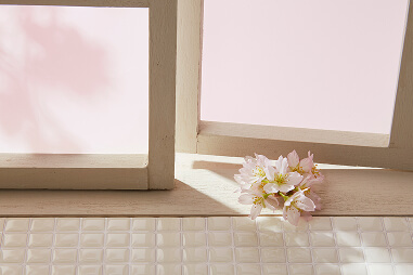 �Ԍ��C���[�W�摜