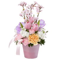 �X�^�C������I�� �A�����W�����g�E�ԑ�