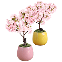 �X�^�C������I�� ���A��