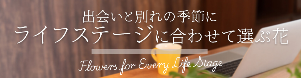 ���C�t�X�^�C���̐ߖڂɂ������߂̏{�̉ԃ��C���摜