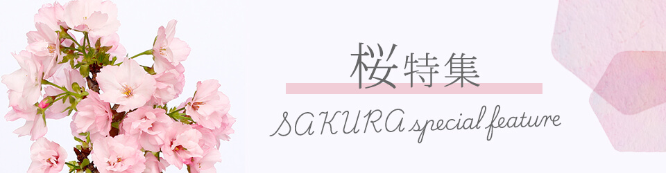 �����W2026