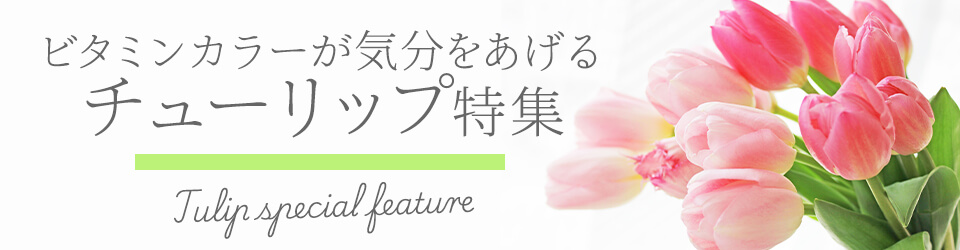 �`���[���b�v���W2026���C���摜