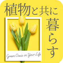 �A���Ƌ��ɕ�炷