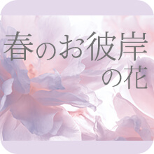 �t�̂��ފݓ��W2026