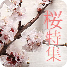 �����W2026