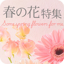 �t�̉ԓ��W2026