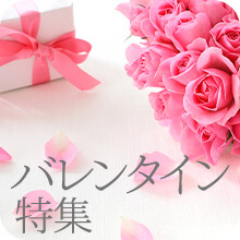 �o�����^�C���f�[���W2026