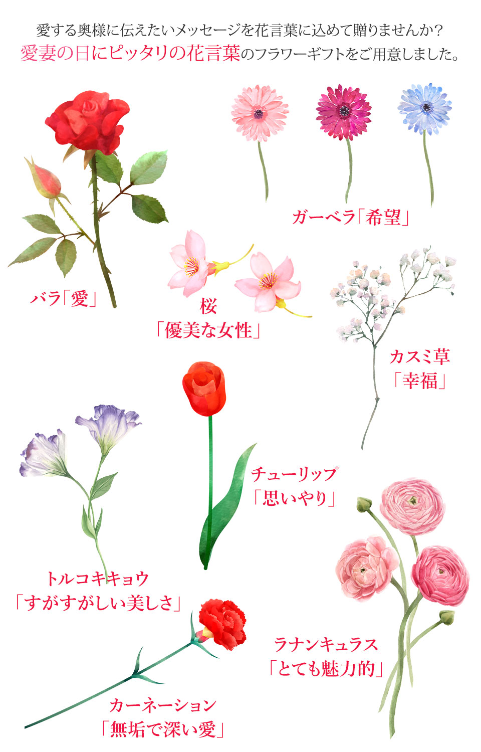 ���Ȃ̓��ɑ���t�����[�M�t�g