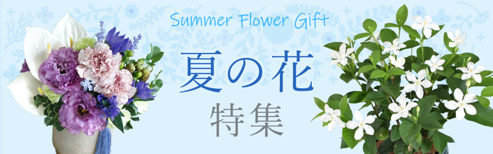 イイハナ・ドットコム 夏の花プレゼント・ギフト特集