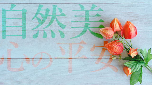 ホオズキの花言葉