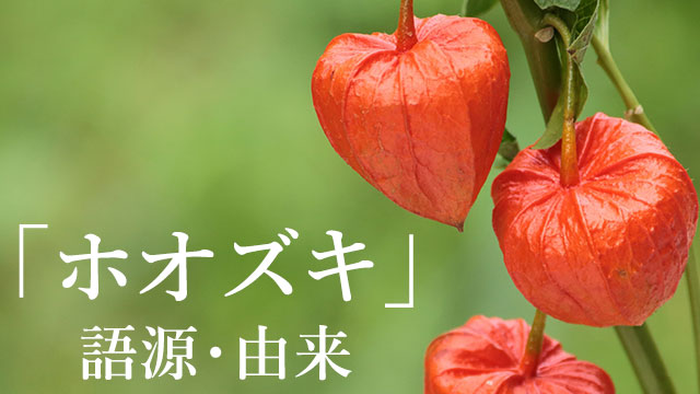ホオズキ 由来