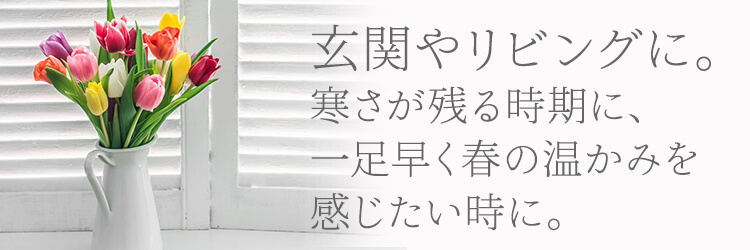 �y�ݒu�ꏊ�̂������߃C���[�W�z���ւ⃊�r���O�ɁB�������c�鎞���ɁA�ꑫ�����t�̉����݂������������ɁB