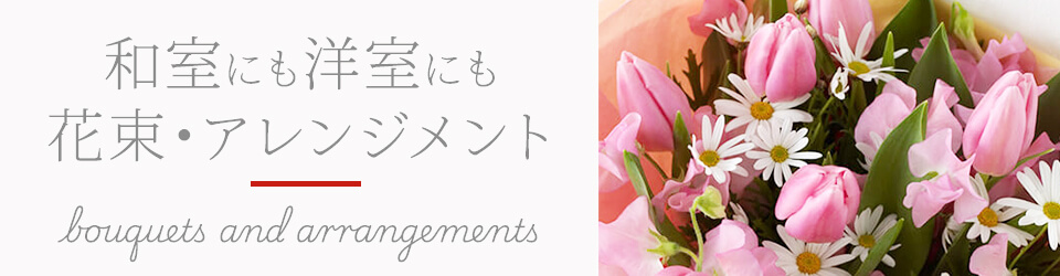 �`���[���b�v�̃A�����W�����g �w�i�摜