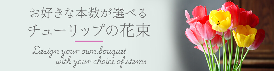 �{�����I�ׂ�`���[���b�v�̉ԑ� ���o���w�i�摜