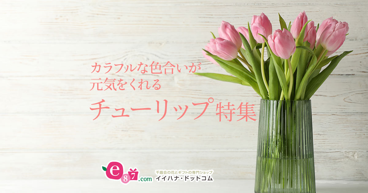 チューリップの花ギフト・プレゼント特集2026｜イイハナ