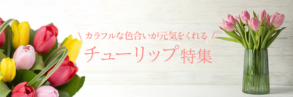 �`���[���b�v���W2026���C���r�W���A���摜