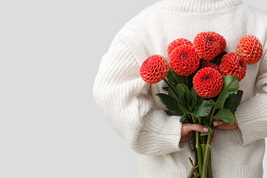 �o�����^�C���f�[�C���[�W�摜