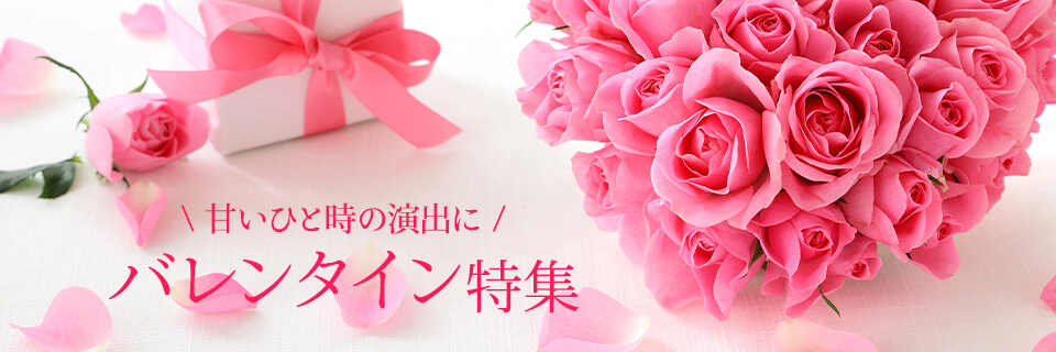 �o�����^�C���f�[���W2026���C���r�W���A���摜