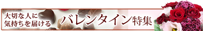 バレンタイン特集