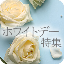 �z���C�g�f�[���W2026