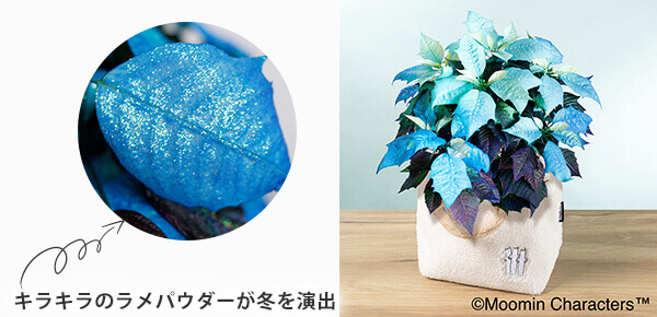 MOOMIN/Aujj@|CZ`AṽsbNAbv|Cg