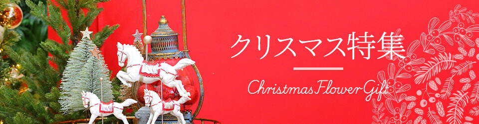 NX}XMtgEv[gW2025C摜