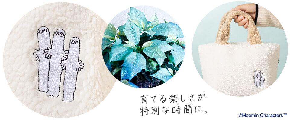 񂪑I񂾁uJCCIv́A₨΂ʂȃv[gƂĎ󂯎Ă͂B